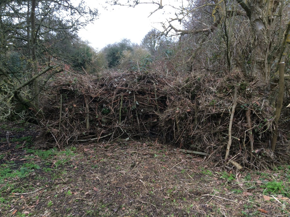 Dead hedge